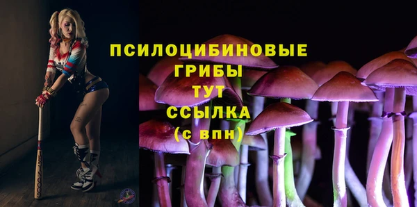 сатива Кулебаки