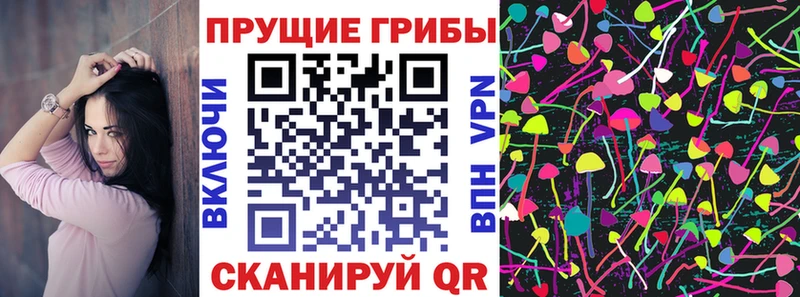 Псилоцибиновые грибы GOLDEN TEACHER  Купить  Апрелевка 